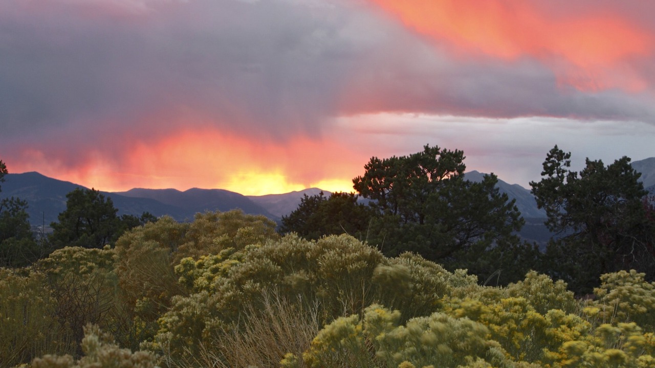 Photo of Outdoor in Salida