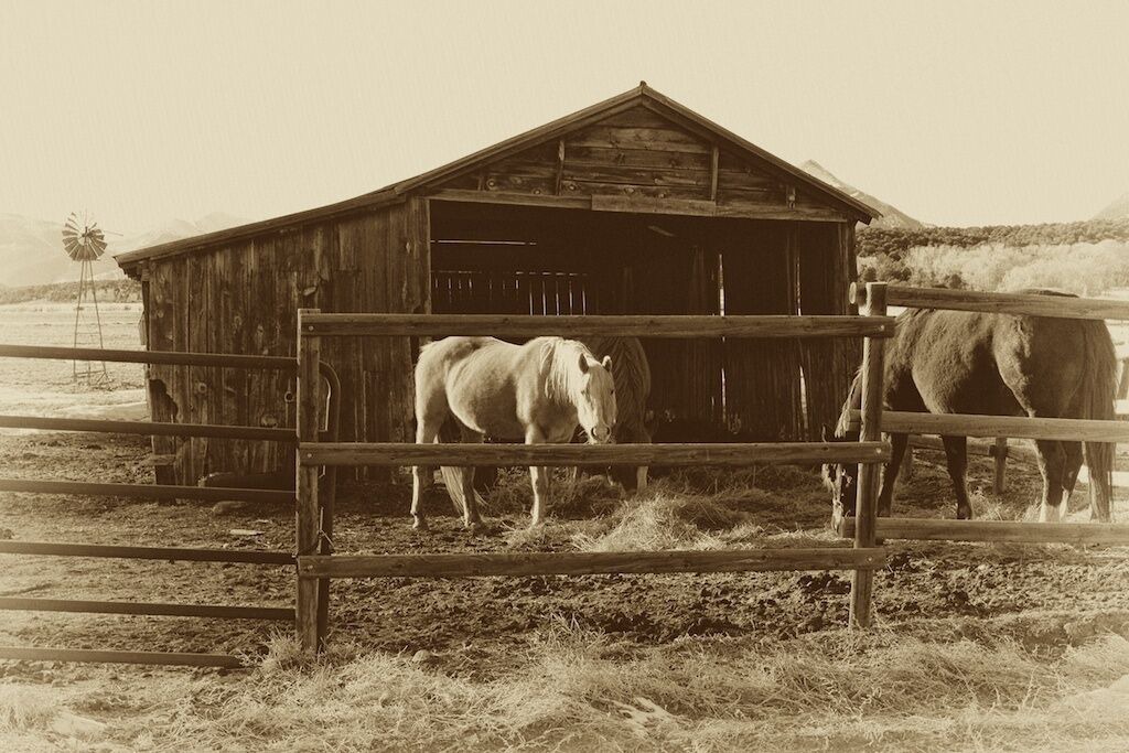 Photo of Others in Salida