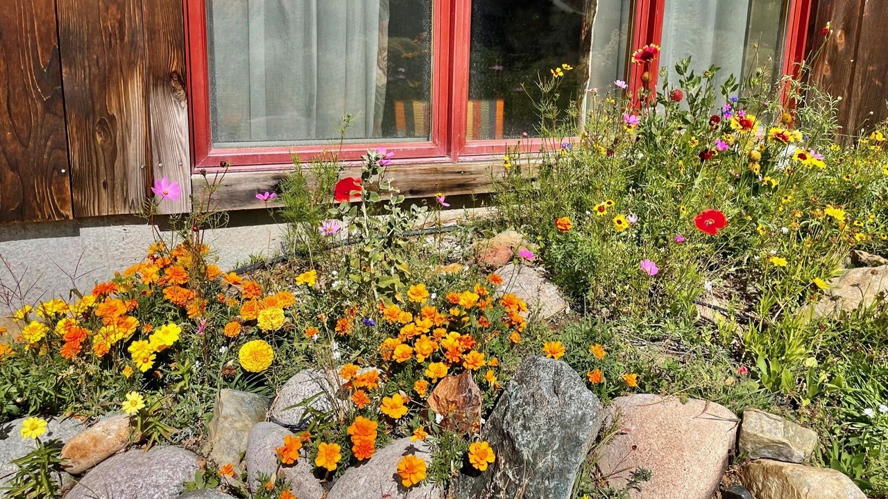 Photo of Outdoor in Salida