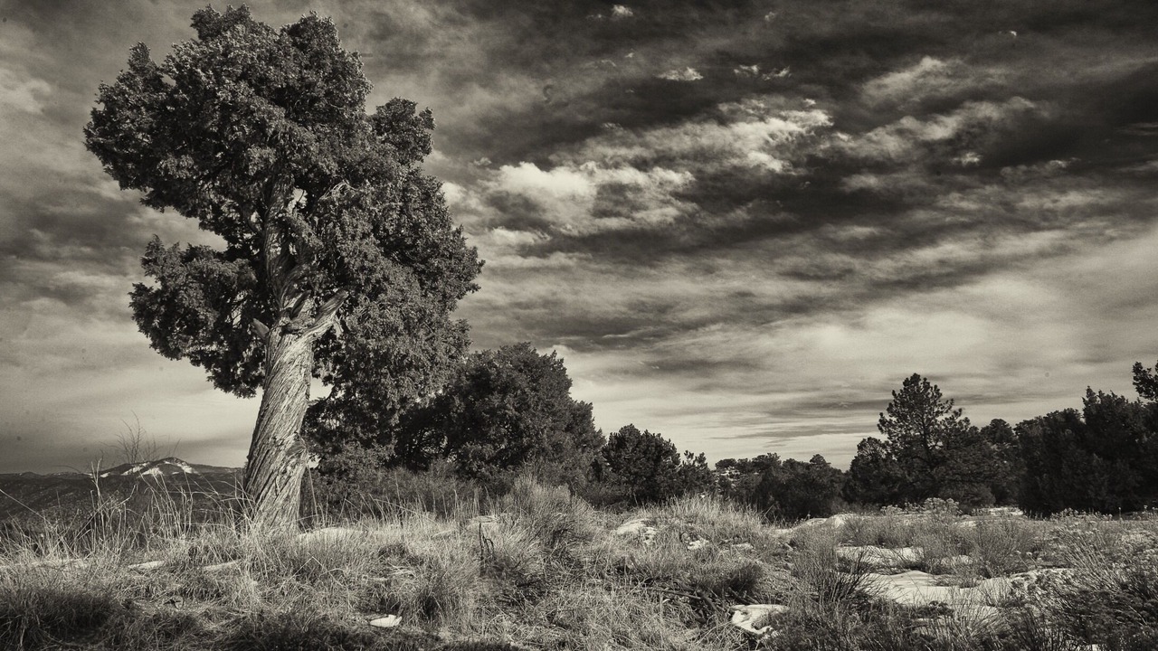 Photo of Others in Salida