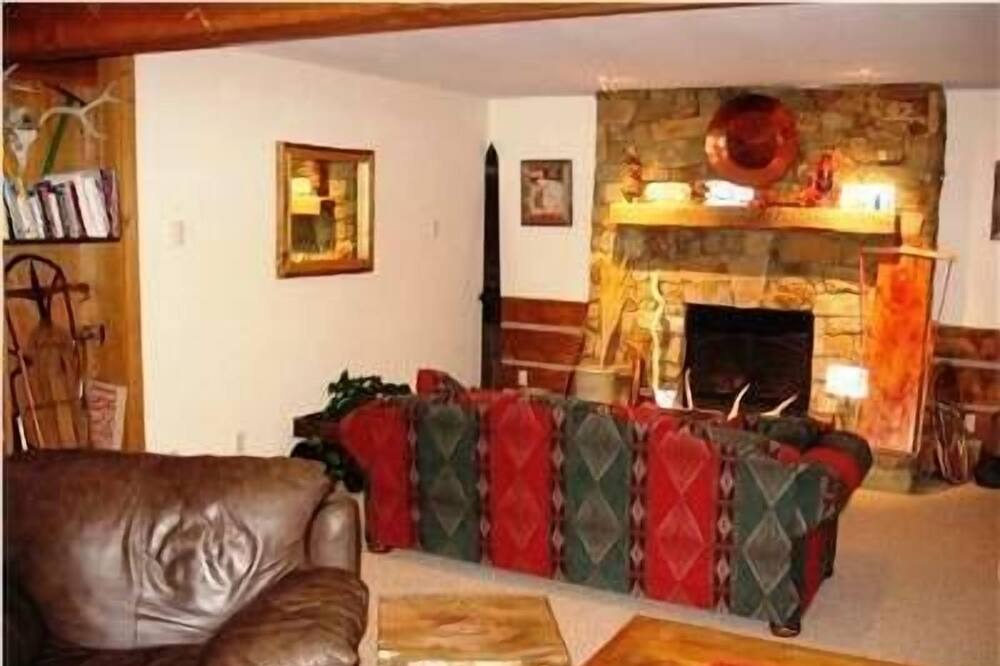 Photo of Livingroom in Twin Lakes