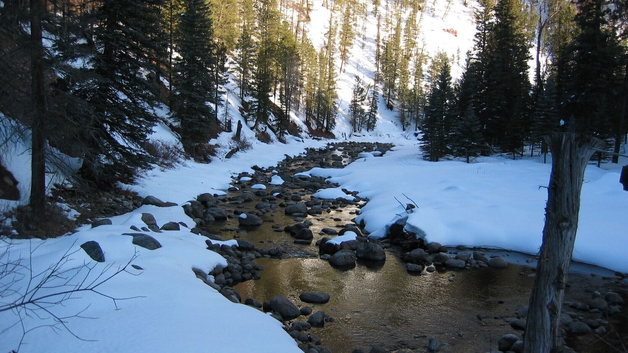Photo of Outdoor in Vallecito