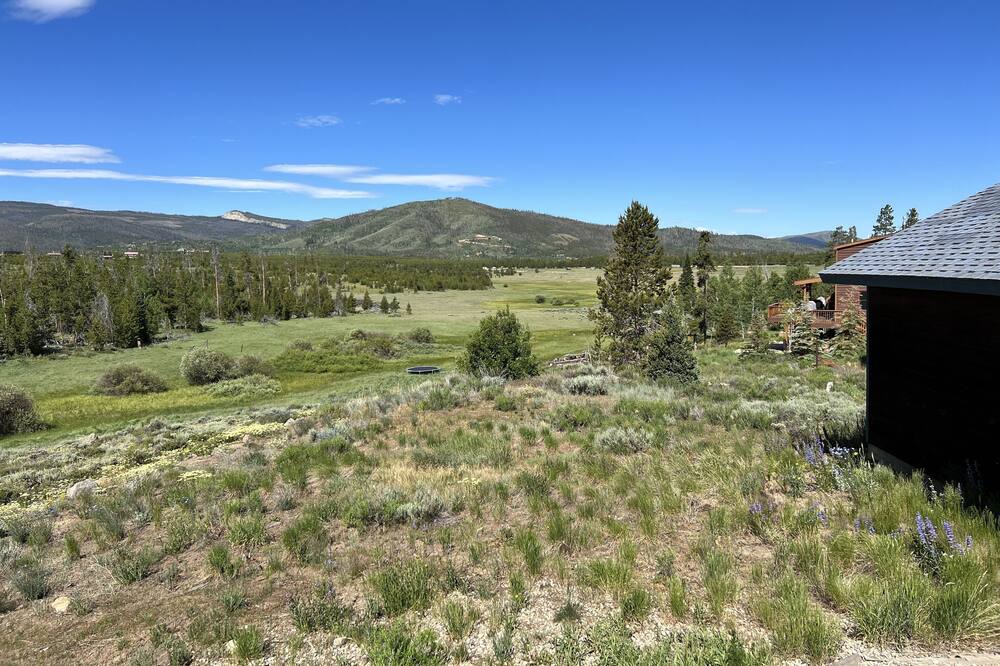 Photo of Outdoor in Alpine Acres
