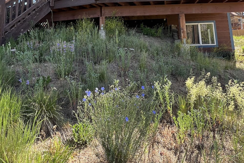 Photo of Others in Alpine Acres