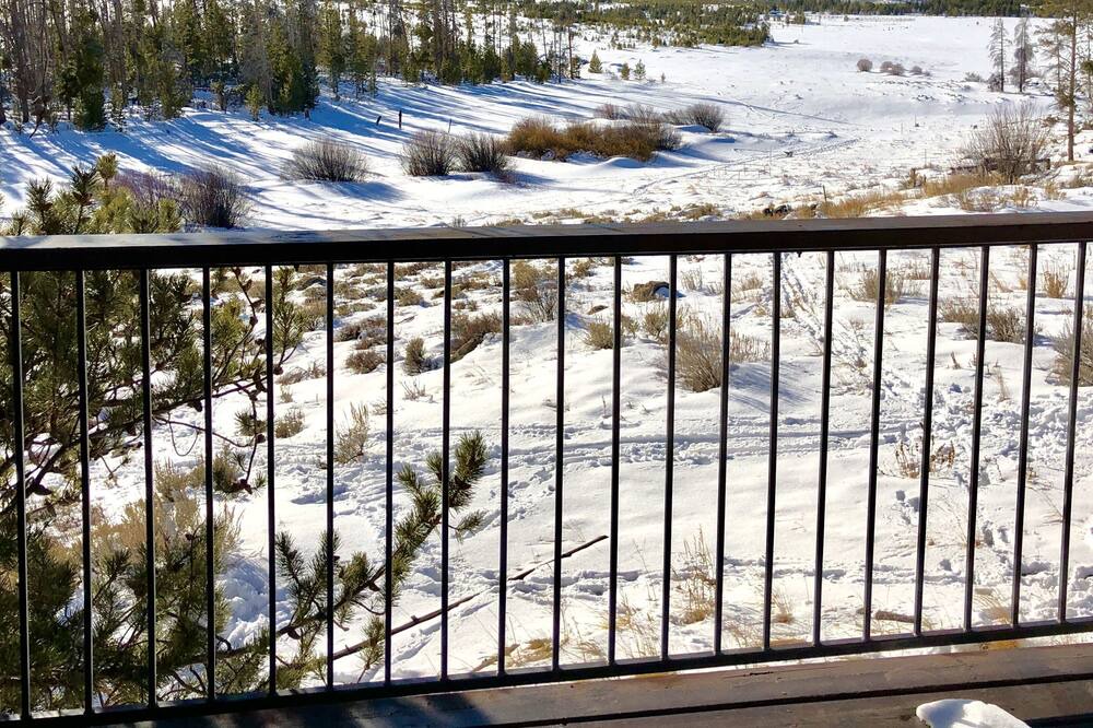 Photo of Outdoor in Alpine Acres
