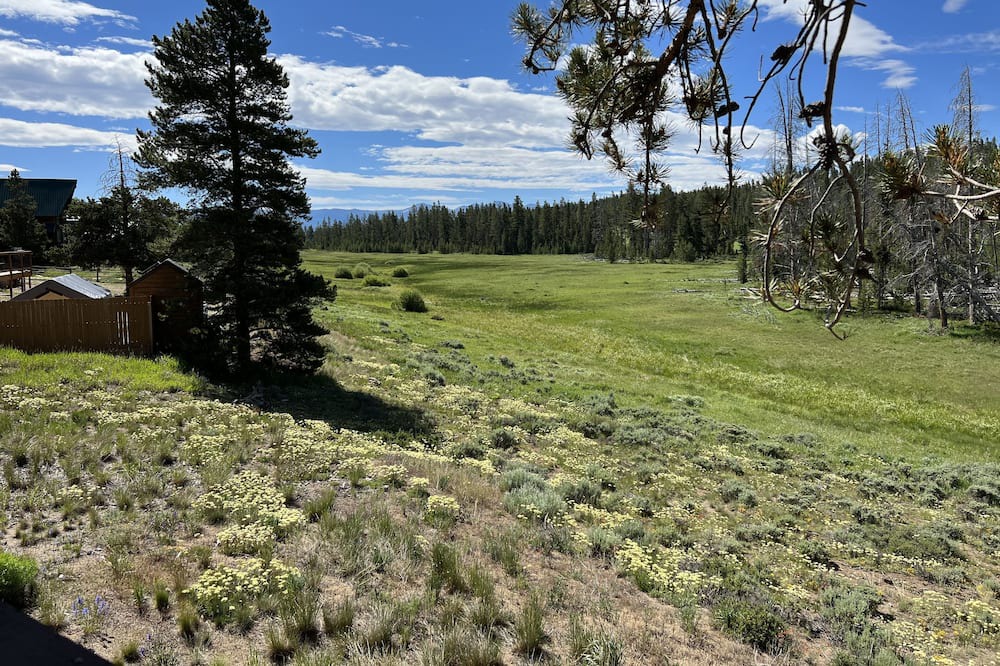 Photo of Outdoor in Alpine Acres
