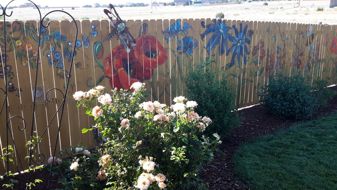 Photo of Outdoor in Pueblo West