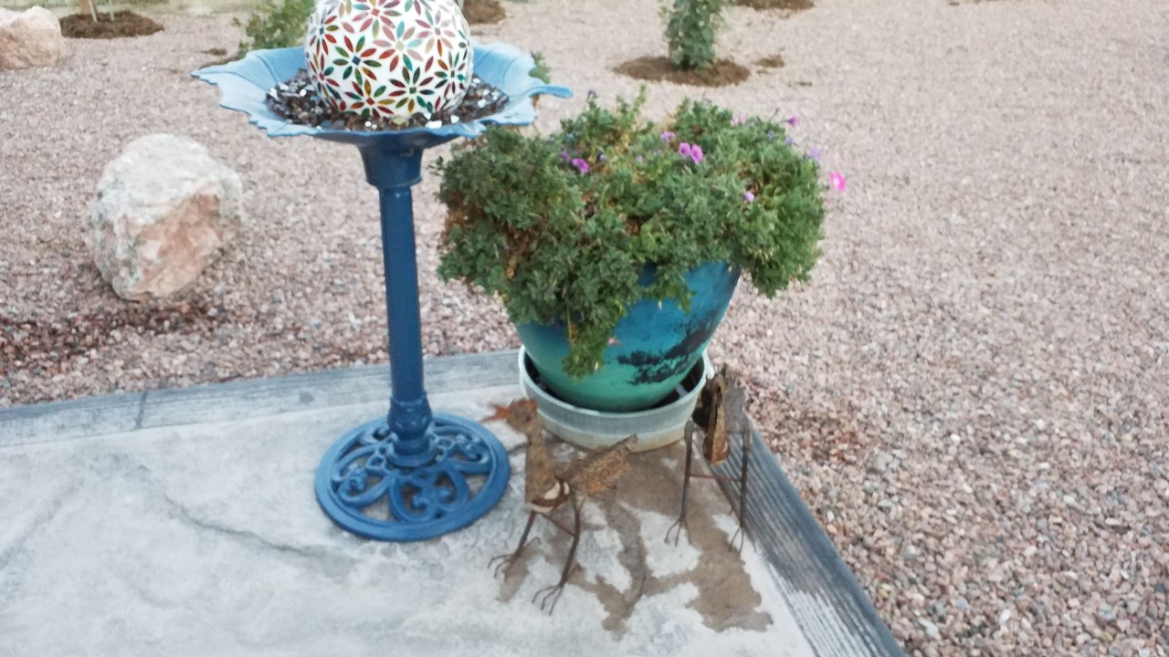 Photo of Outdoor in Pueblo West