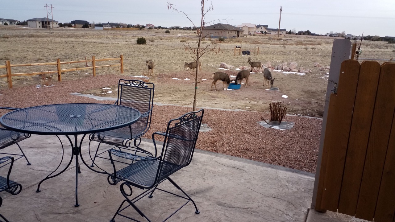 Photo of Outdoor in Pueblo West