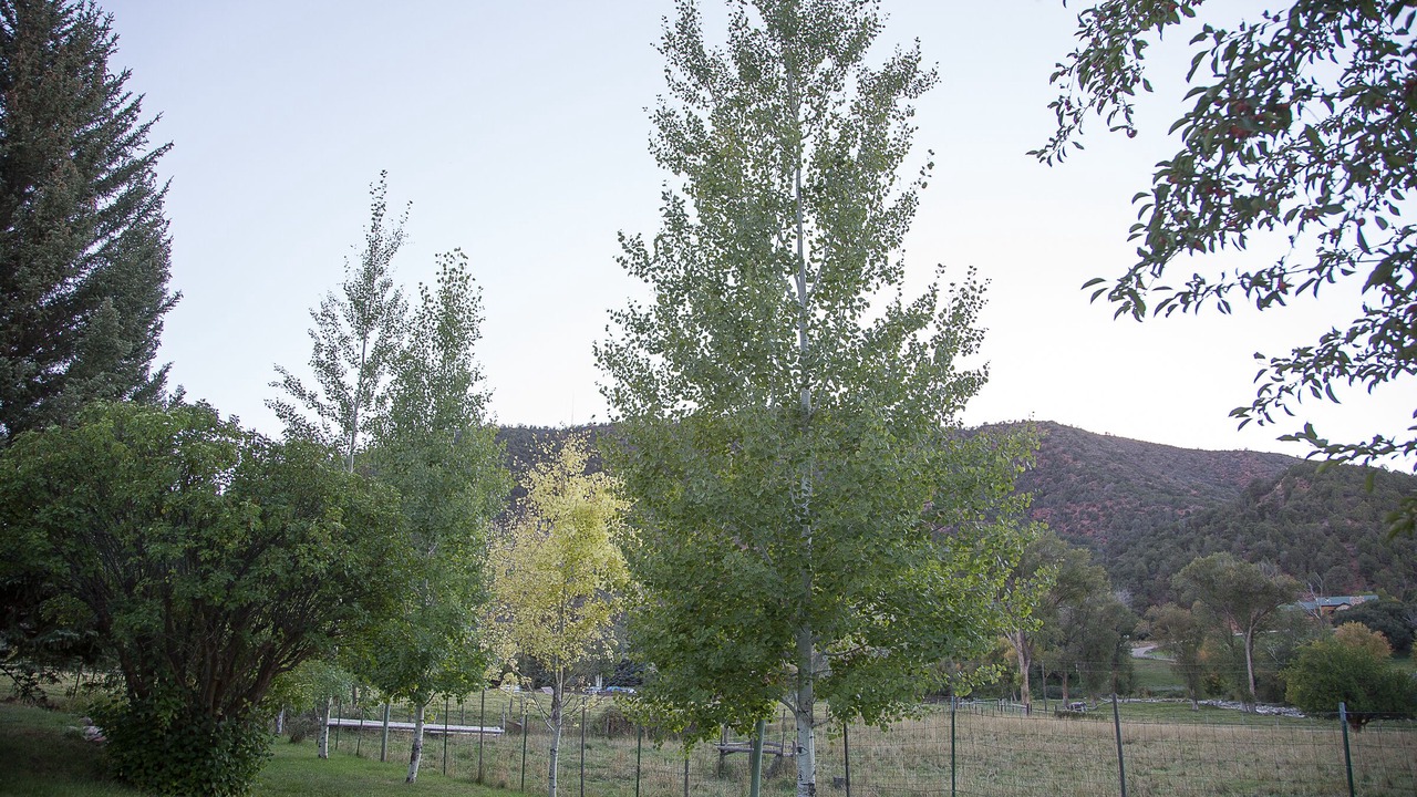 Photo of Outdoor in New Castle