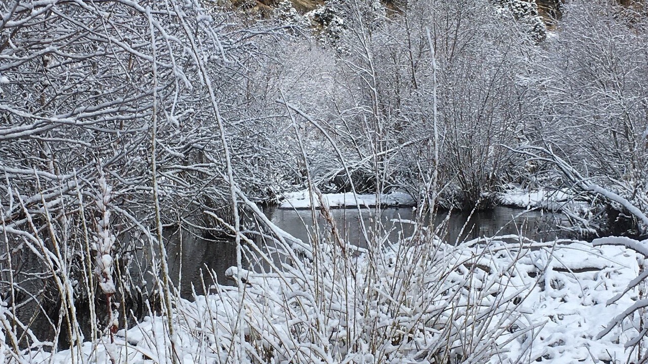 Photo of Outdoor in Parshall