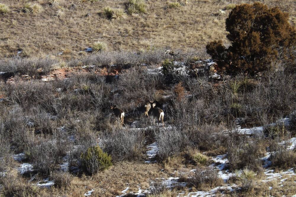 Photo of Others in Morrison