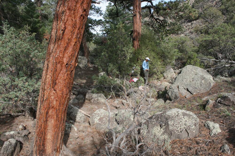 Photo of Outdoor in San Luis