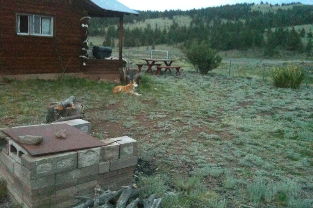 Photo of Outdoor in Park County