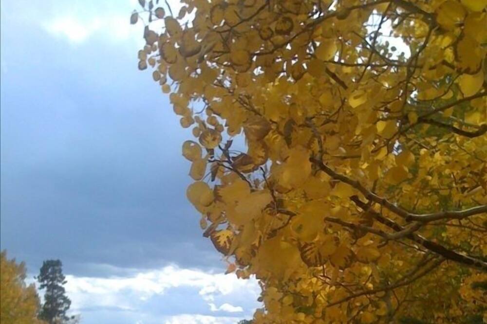 Photo of Outdoor in Nederland