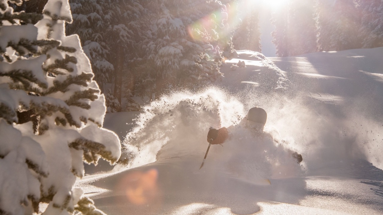 Photo of Others in Crested Butte