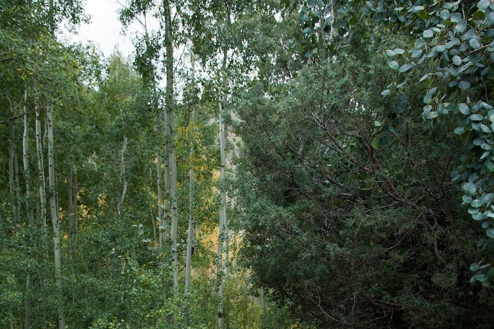 Photo of Others in Salida
