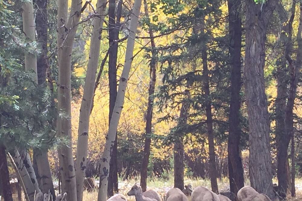 Photo of Others in Nathrop