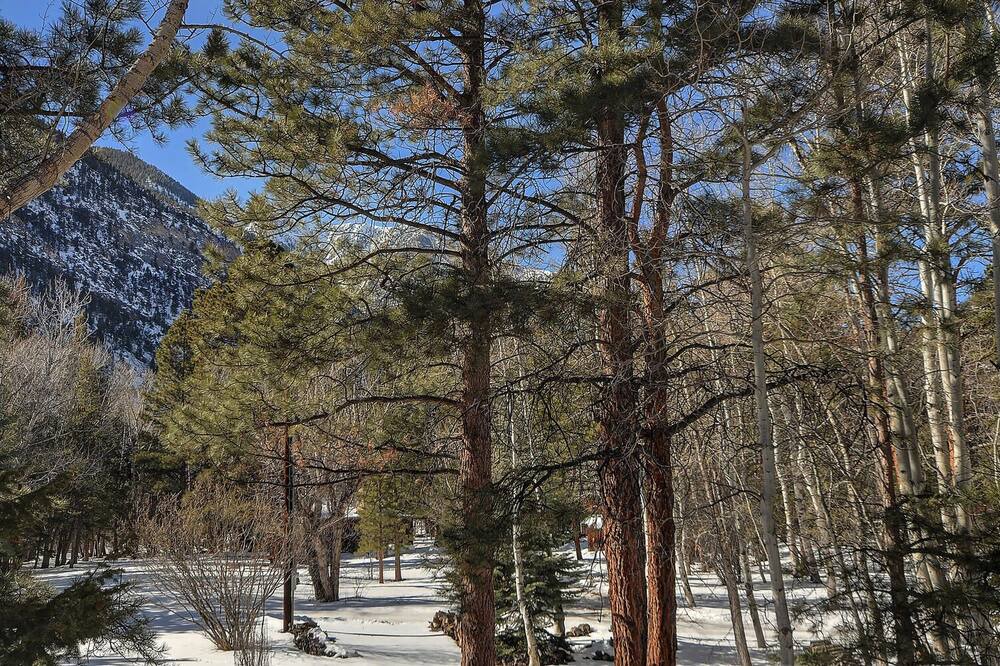 Photo of Outdoor in Nathrop