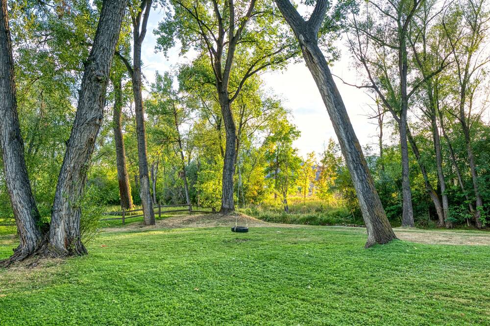 Photo of Outdoor in East Boulder