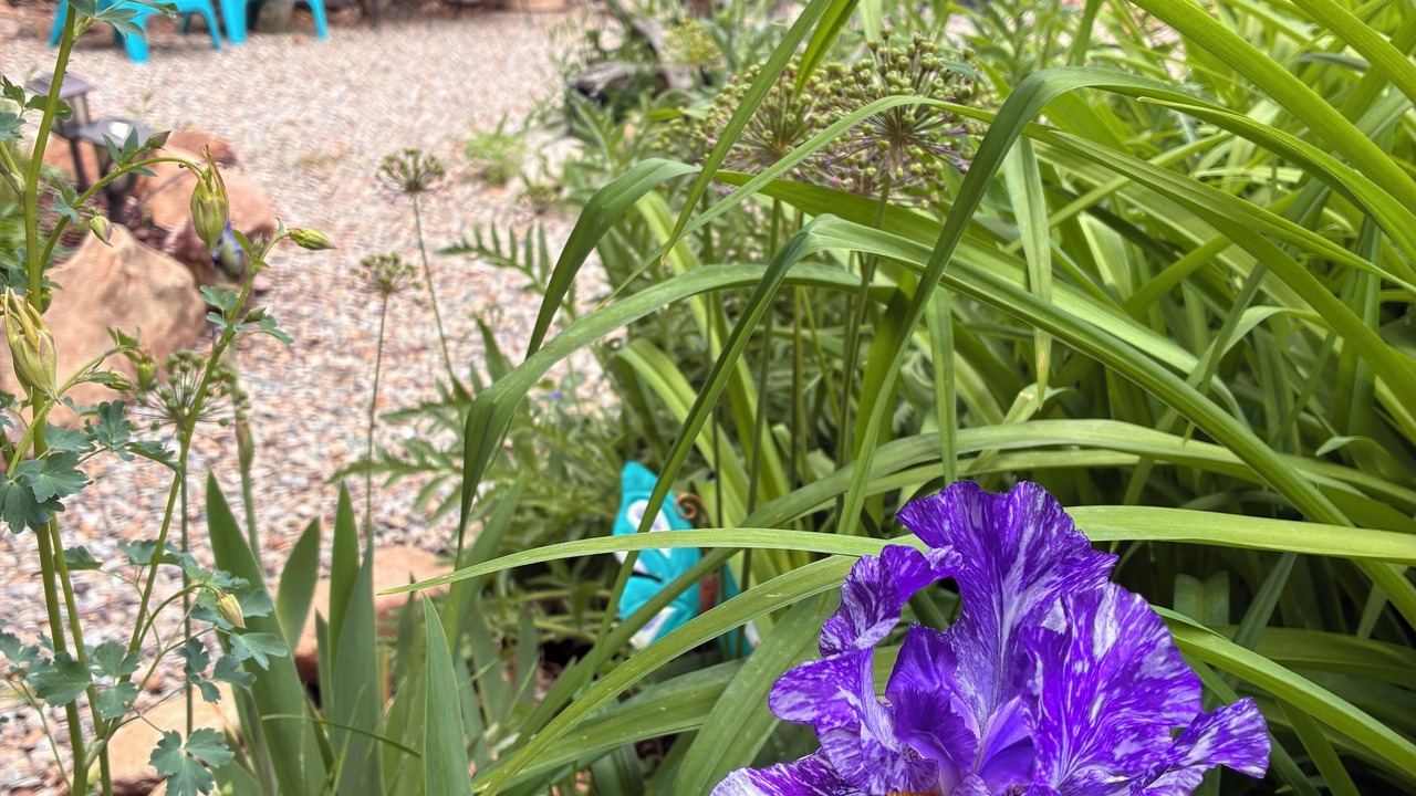 Photo of Patio Balcony in Mancos