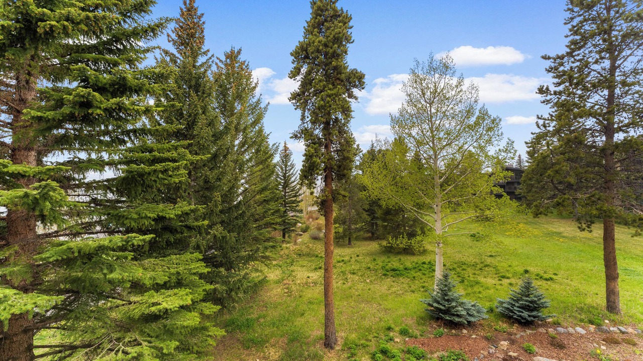 Photo of Outdoor in Dillon