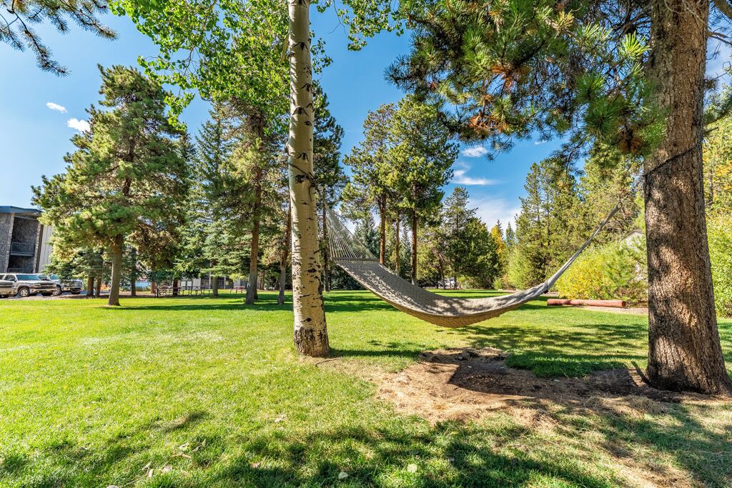 Photo of Outdoor in Dillon