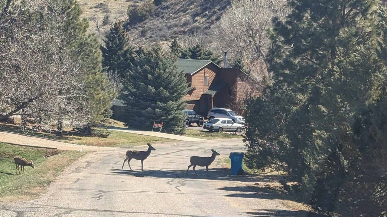 Photo of Others in Fort Collins