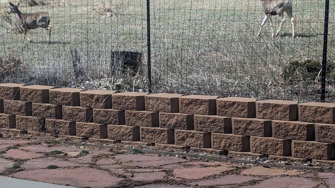 Photo of Others in Fort Collins
