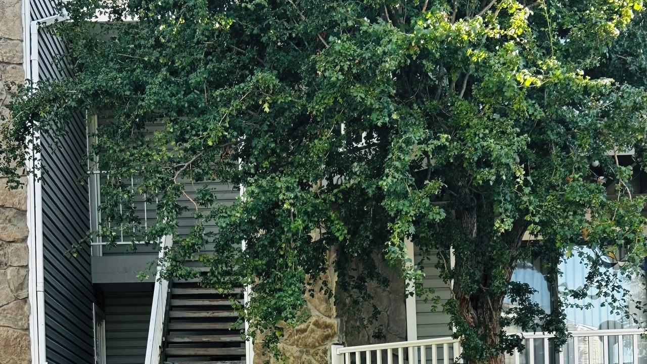 Photo of Outdoor in Aurora