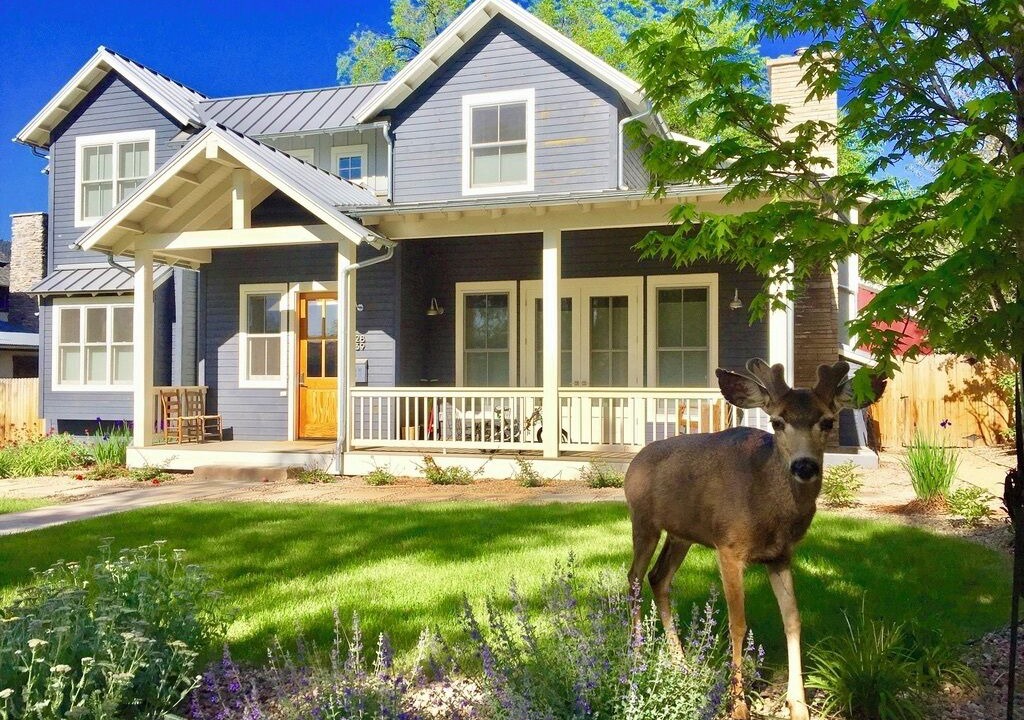 Photo of Outdoor in Newlands