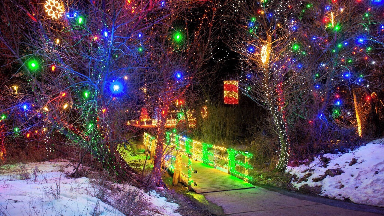Photo of Outdoor in Columbine