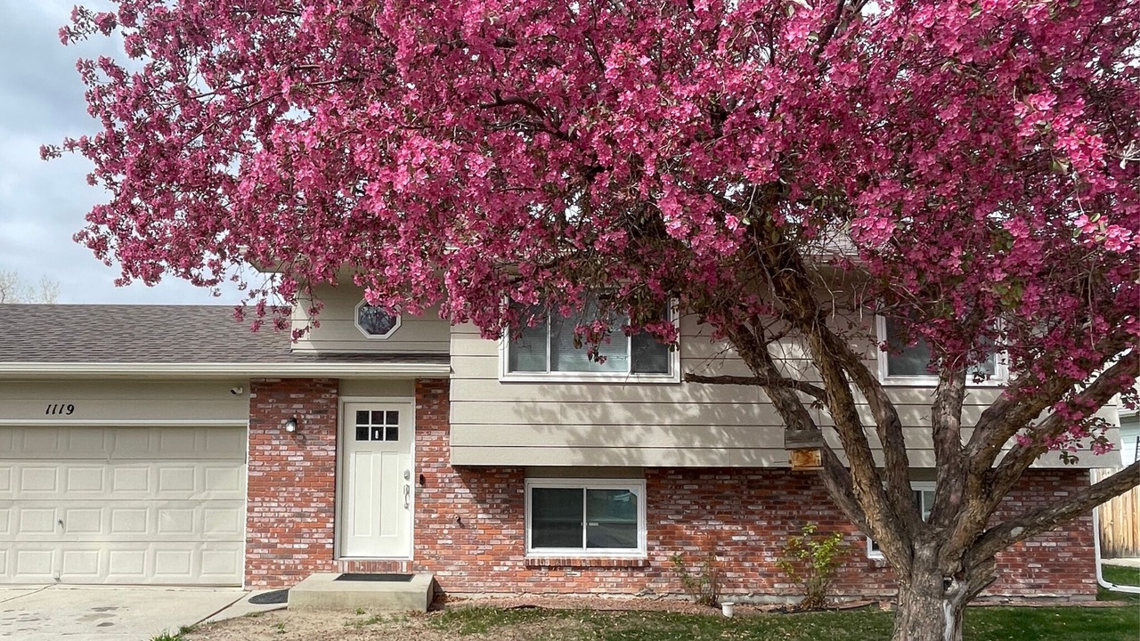 Photo of Outdoor in Loveland
