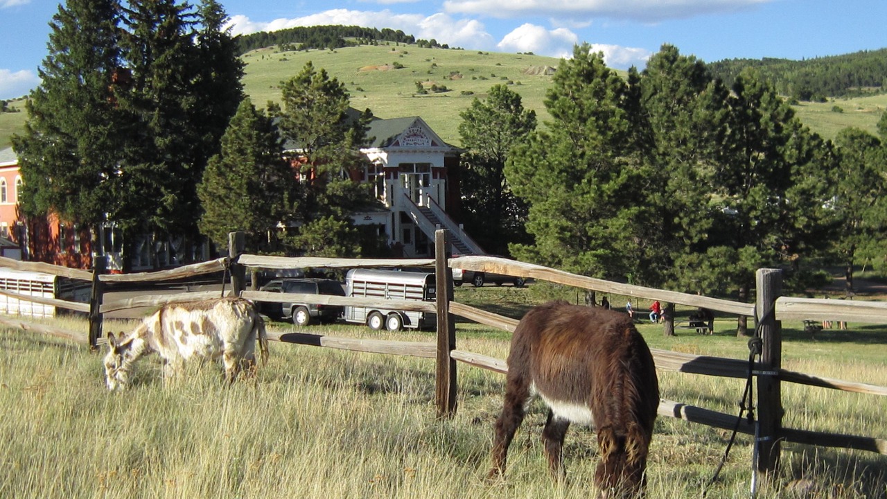 Photo of Outdoor in Cripple Creek