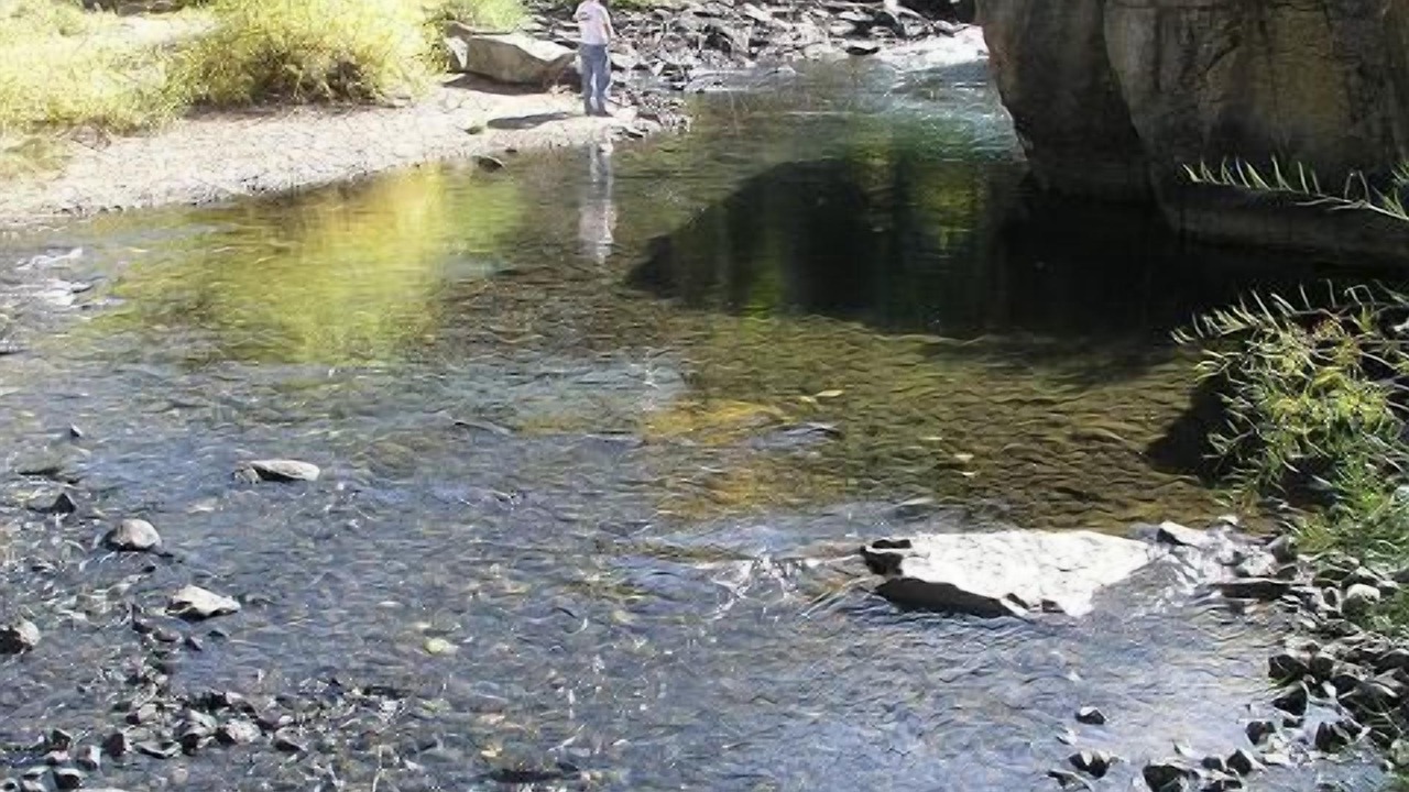 Photo of Outdoor in Lake City