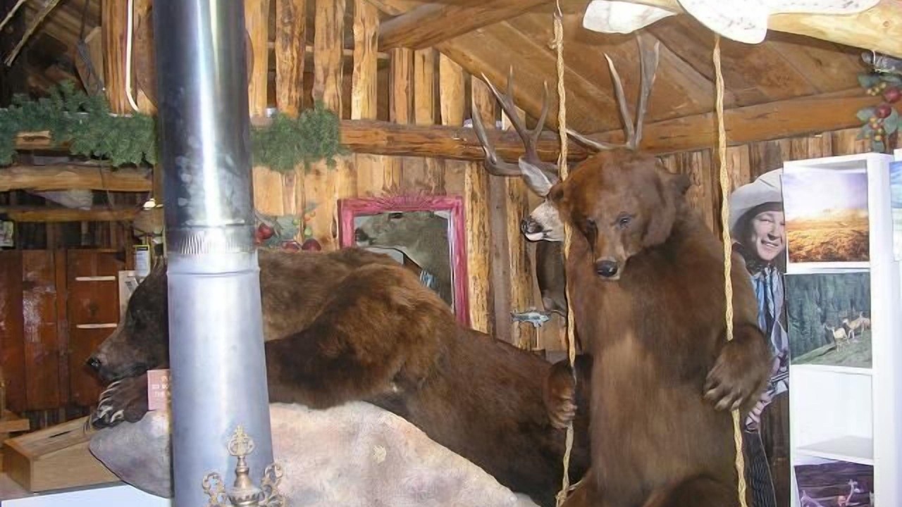 Photo of Others in Lake City