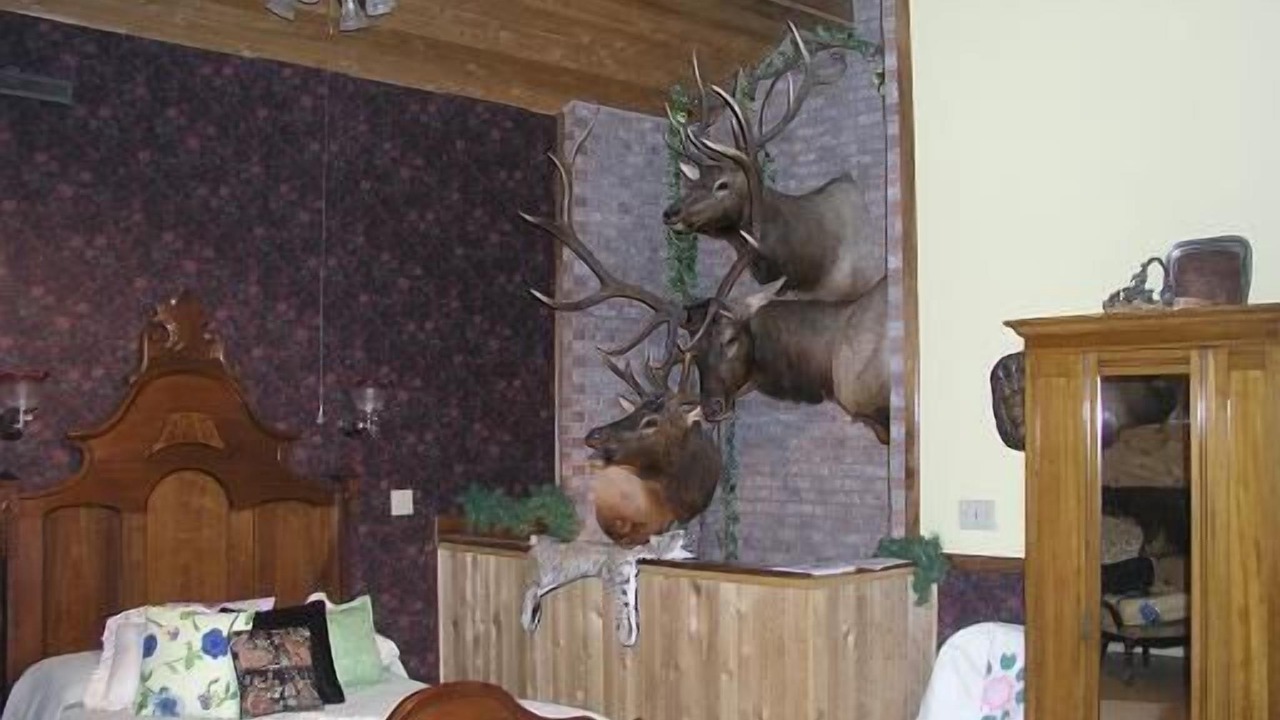 Photo of Others in Lake City