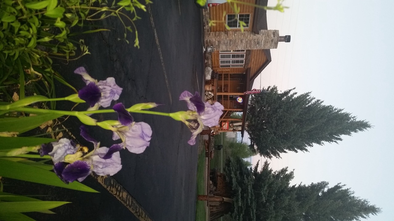 Photo of Outdoor in Gunnison