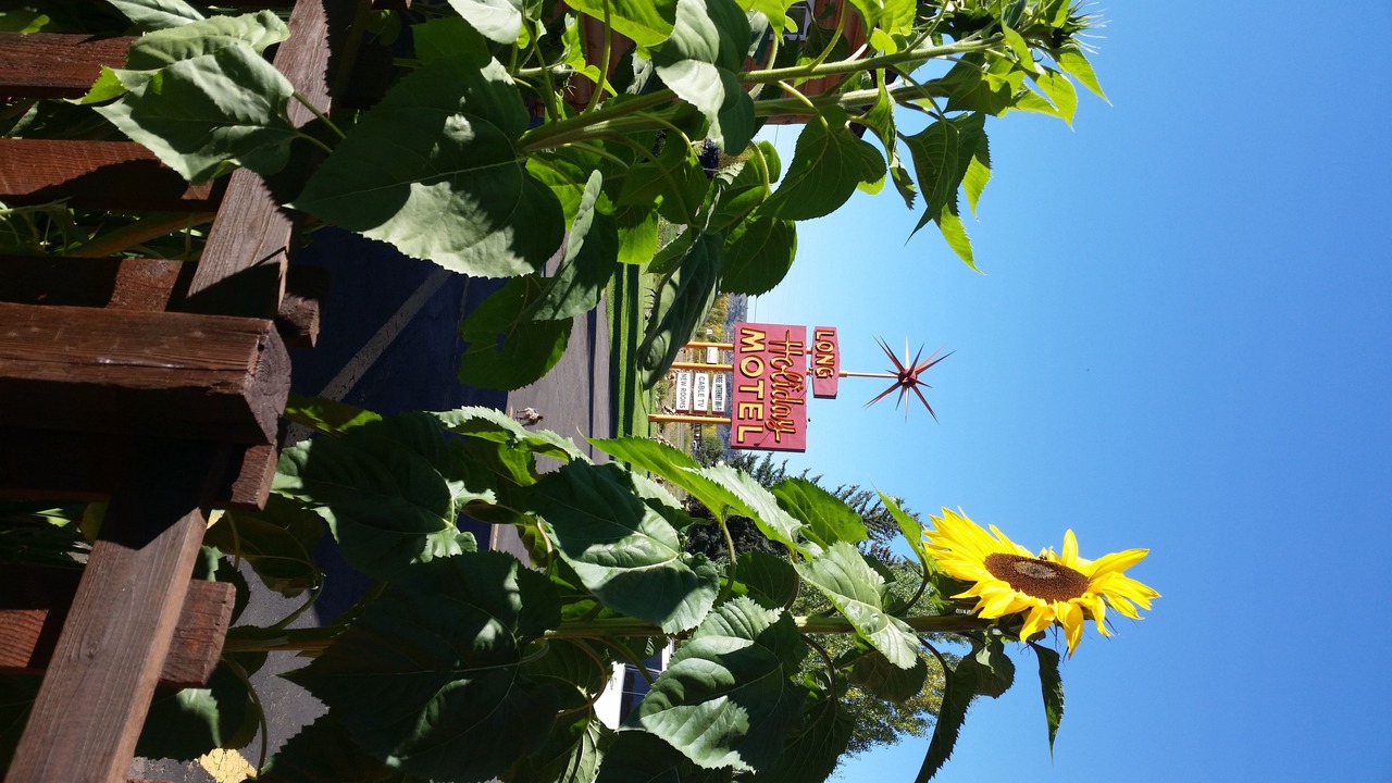 Photo of Outdoor in Gunnison