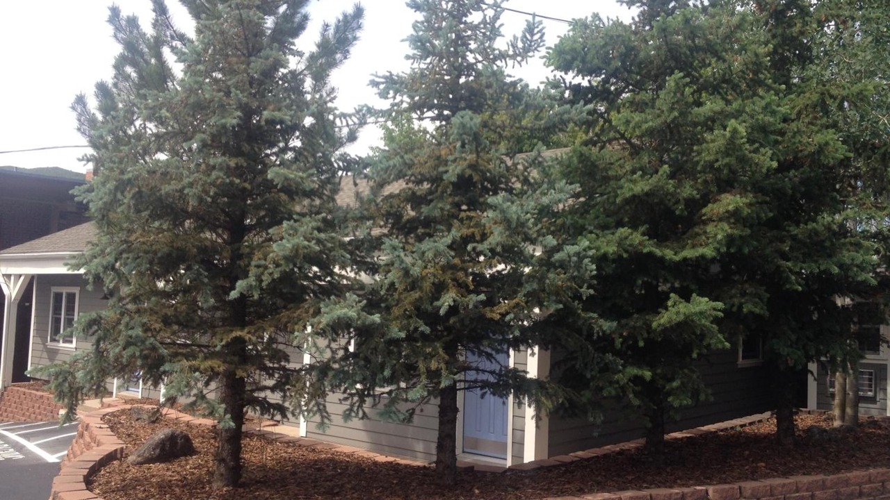 Photo of Outdoor in Basalt