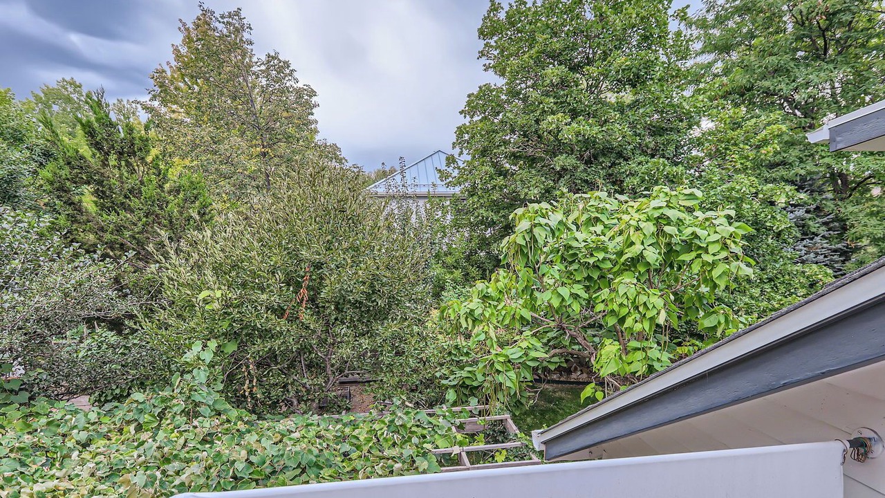 Photo of Outdoor in North Boulder