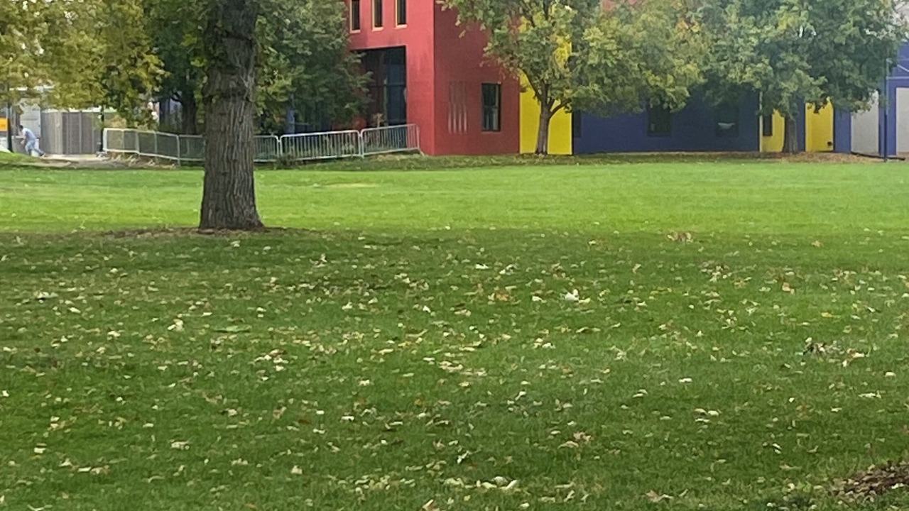 Photo of Outdoor in Lincoln Park