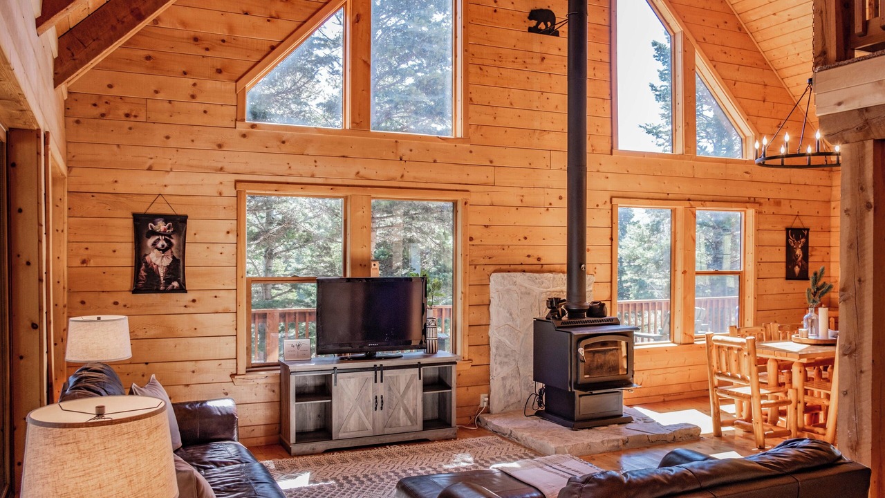 Photo of Livingroom in Red Wing
