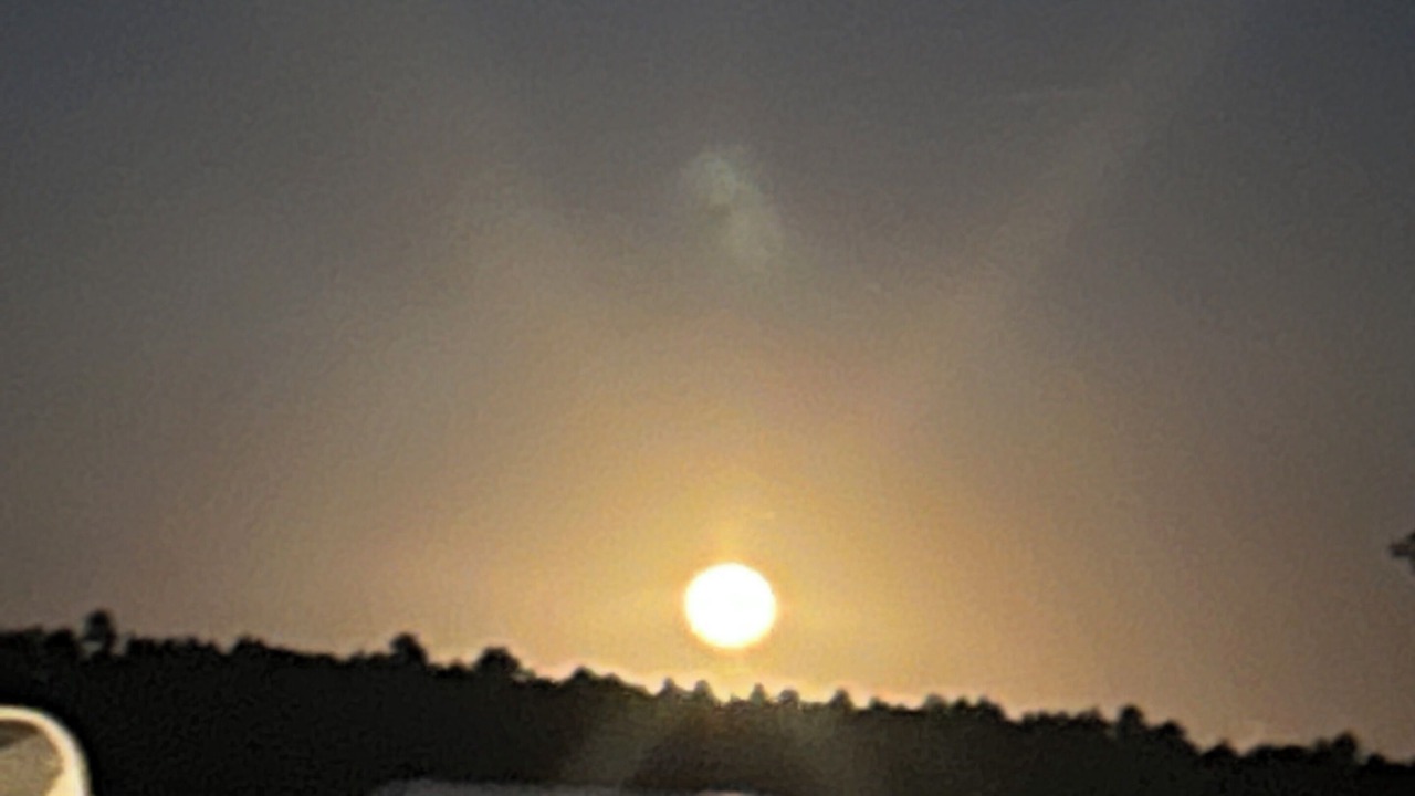 Photo of Others in Larkspur