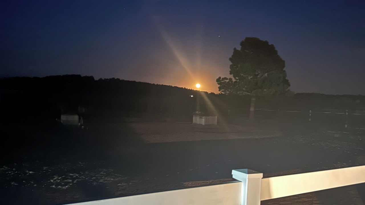 Photo of Outdoor in Larkspur