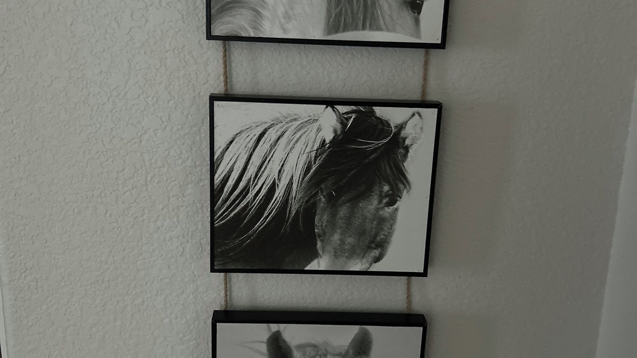 Photo of Others in Larkspur