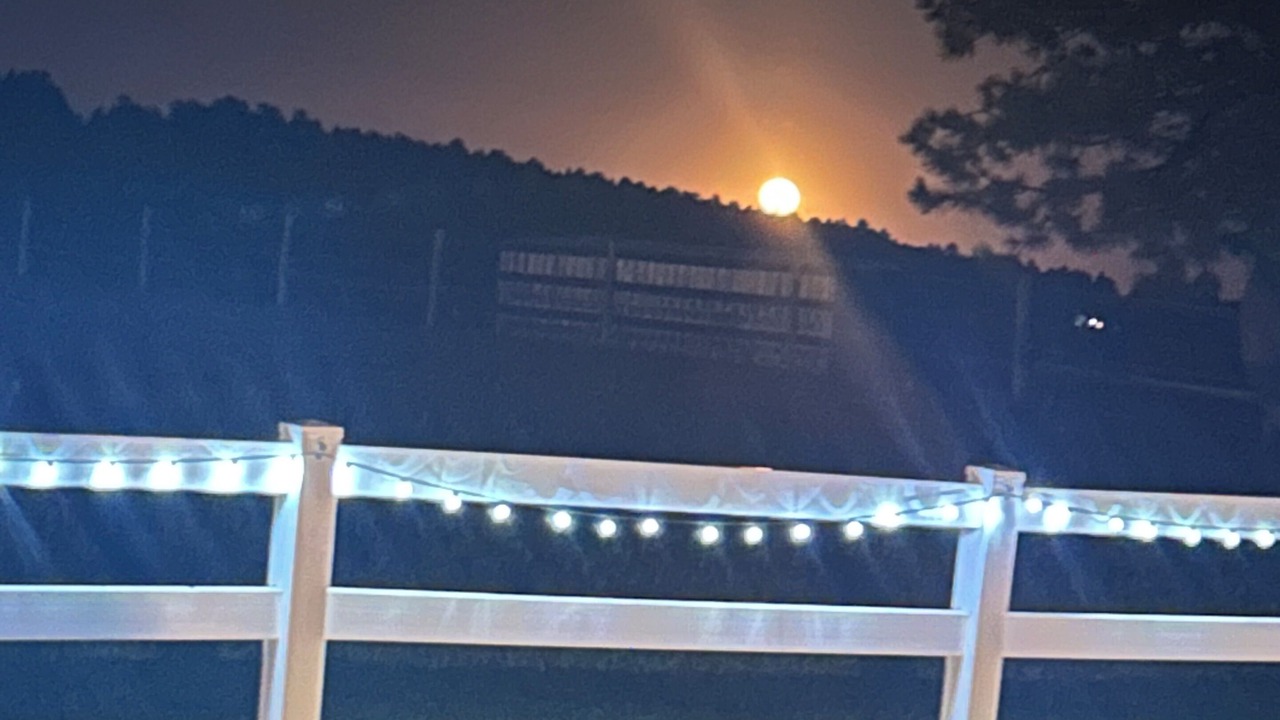 Photo of Others in Larkspur