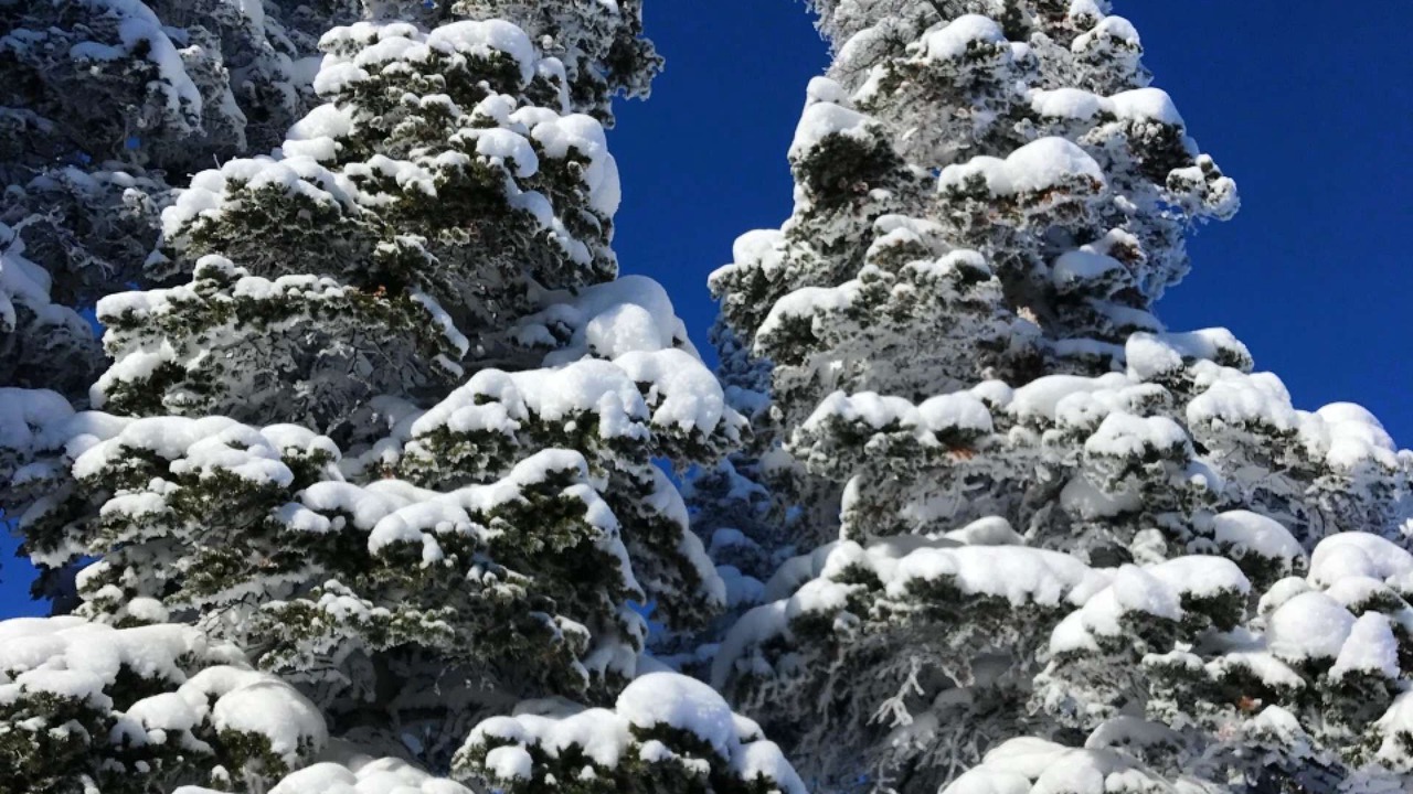 Photo of Others in Steamboat Springs