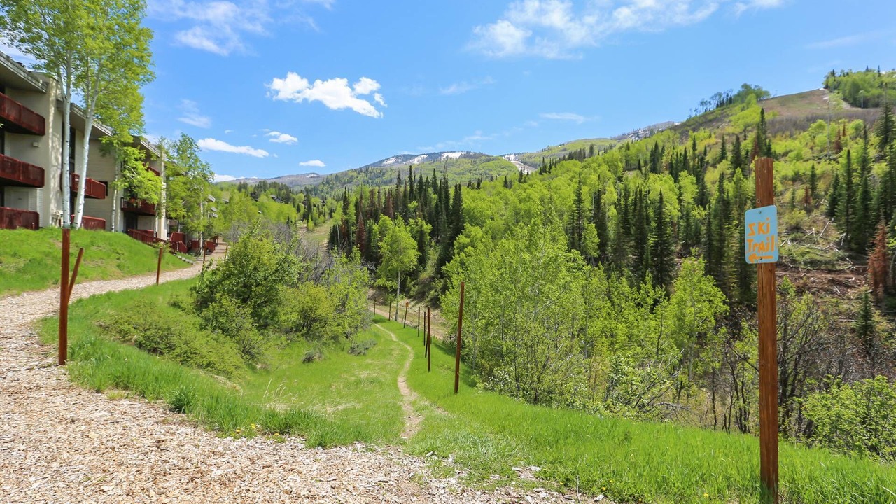 Photo of Others in Steamboat Springs
