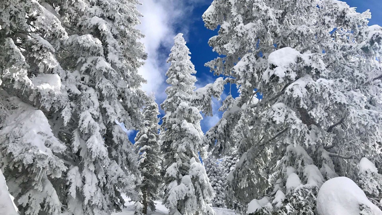 Photo of Others in Steamboat Springs